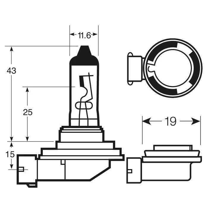 H11shared_H11-PGJ19-2_DIAGRAM