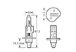 H1shared_H1-P14.5s_DIAGRAM
