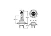 H7_RW5077 Xenon Headlamp bulb