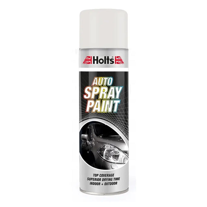 Holts Professional Spray Paint 300ml