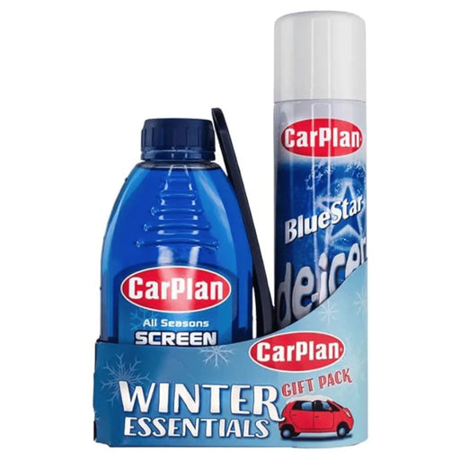 car plan winter essentials