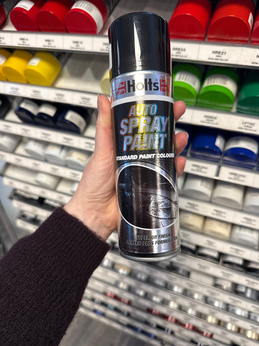 Holts Professional Spray Paint 300ml