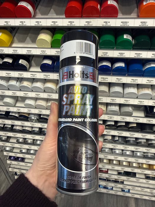 Holts Professional Spray Paint 300ml
