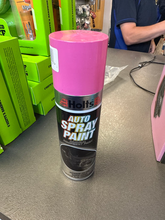 Holts Professional Spray Paint 300ml