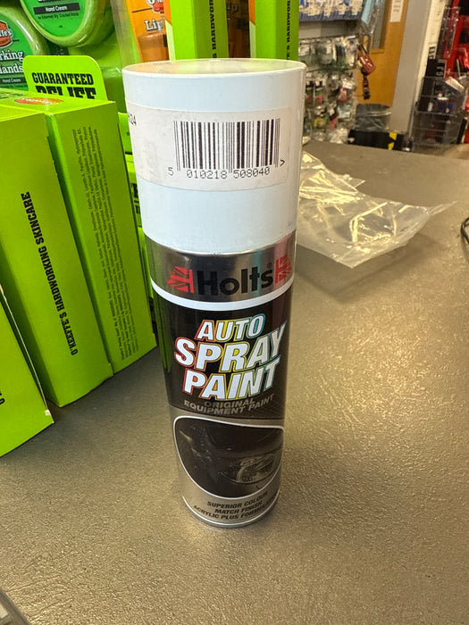Holts Professional Spray Paint 300ml